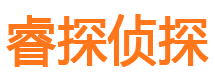 台江侦探公司